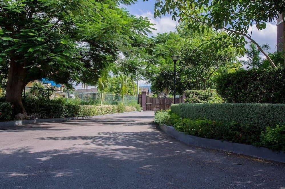 New Kingston Guest Apt At Sonoma Estate 외부 사진